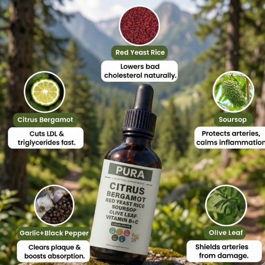 Cholesterol Cleanse Formula