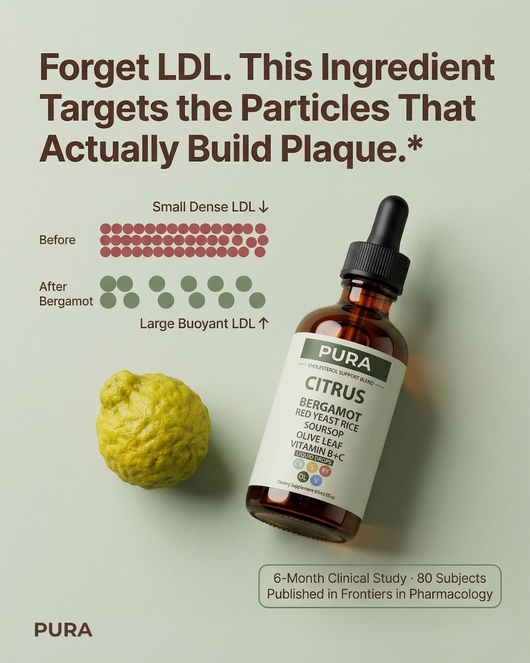 FREE CHOLESTEROL FORMULA